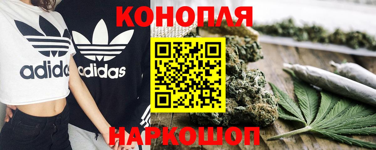Бошки Шишки сатива Урай